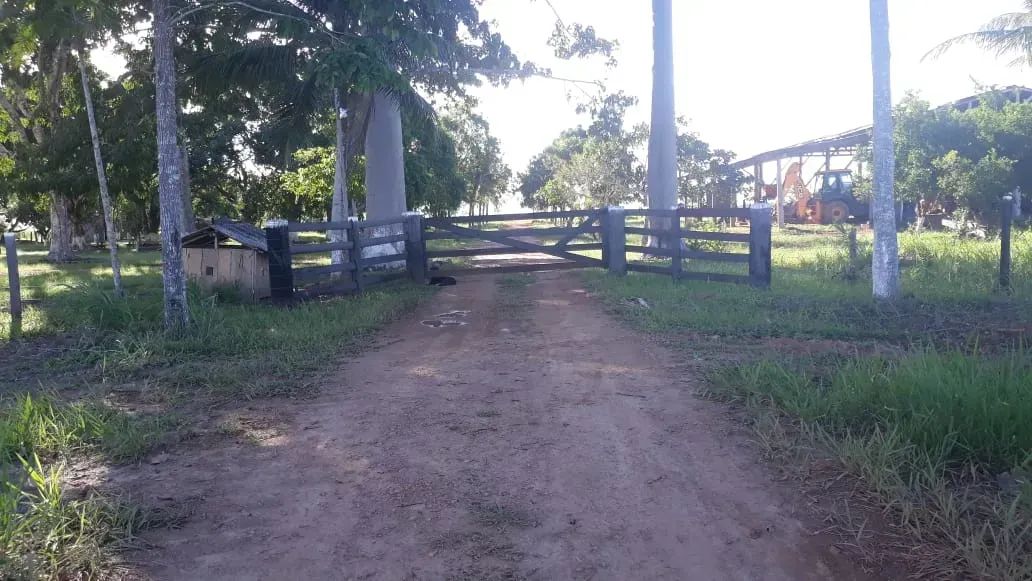 EXCELENTE FAZENDA NA BR 319, COM 819 HECTARES. - Foto 2