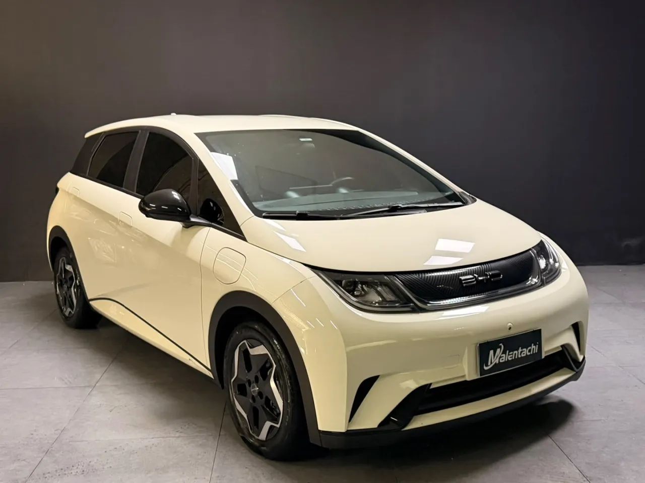 BYD Dolphin Mini (Elétrico) 2024