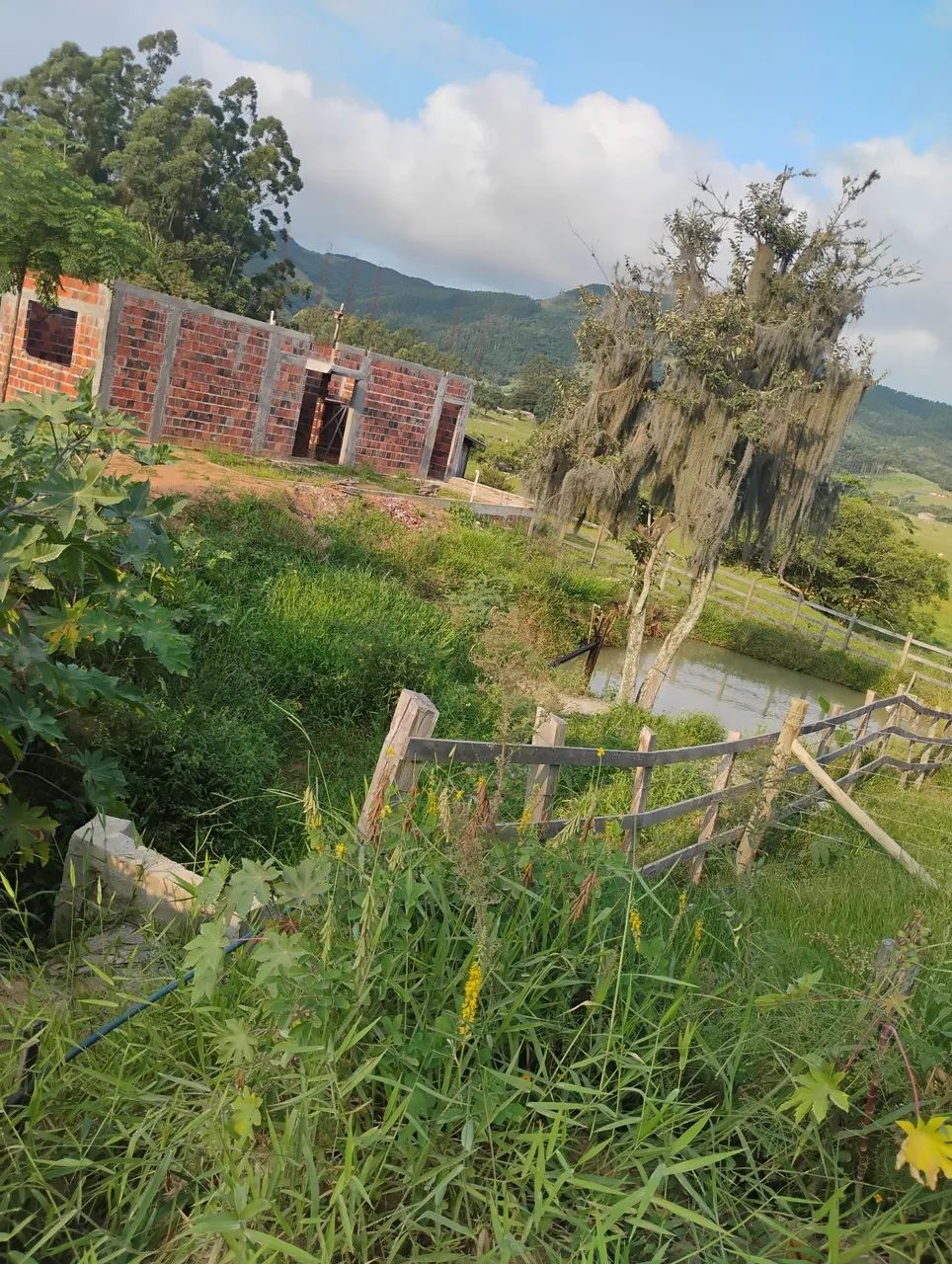 Foto - Imaruí - 