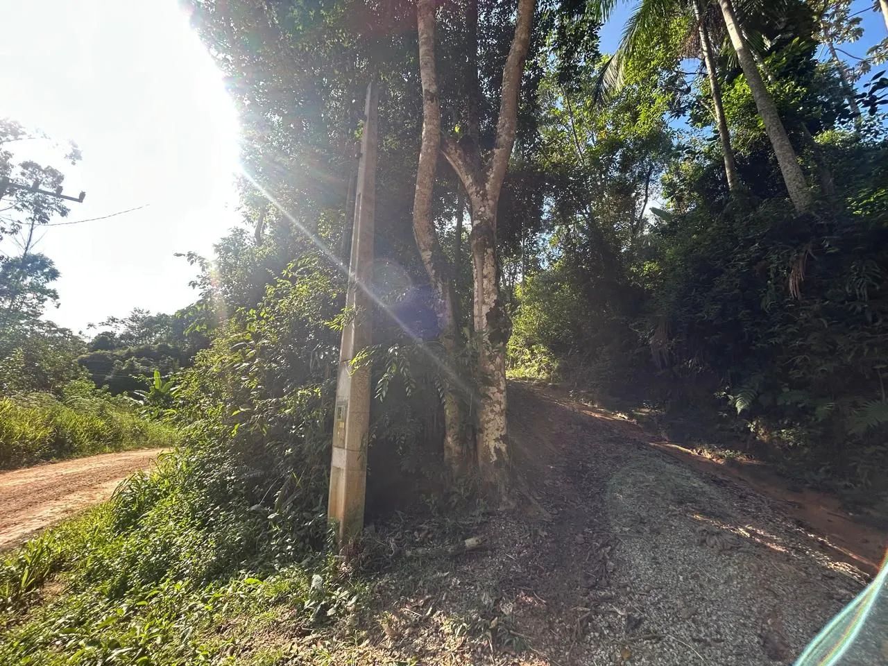Sítio com água e luz, com casa de bloco, quitado - Foto 3