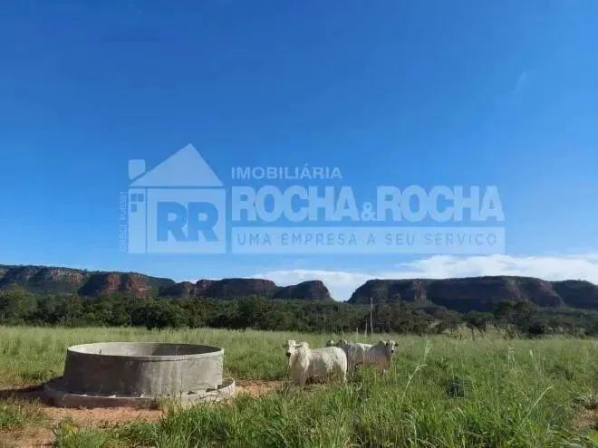 Excelente Terreno a venda em BOM JESUS - Foto 5