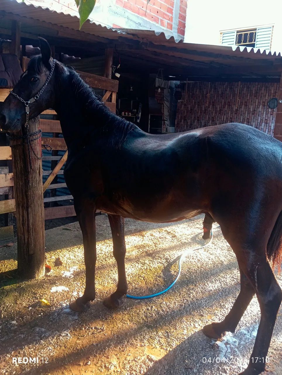 Vendo  - Foto 2