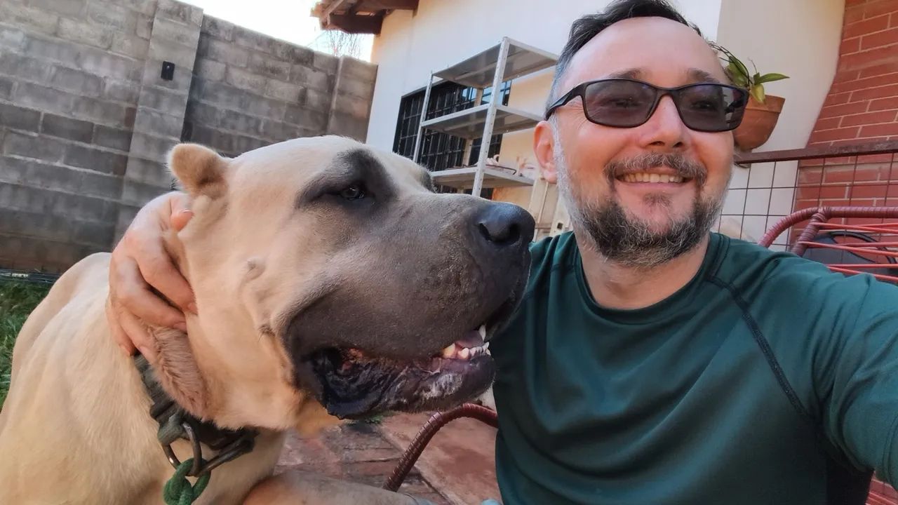 Cane corso  - Foto 2