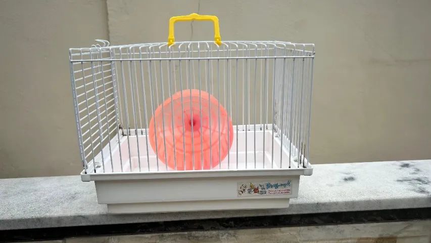 Gaiola para Hamster439275027358689283