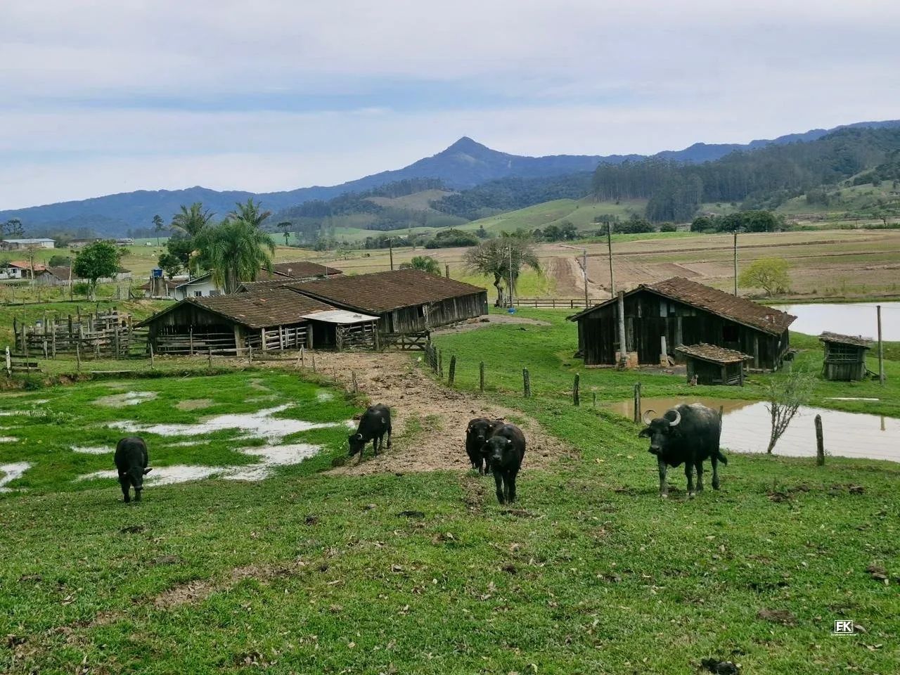 Sítio à venda em Mirim Doce - SC - Foto 4
