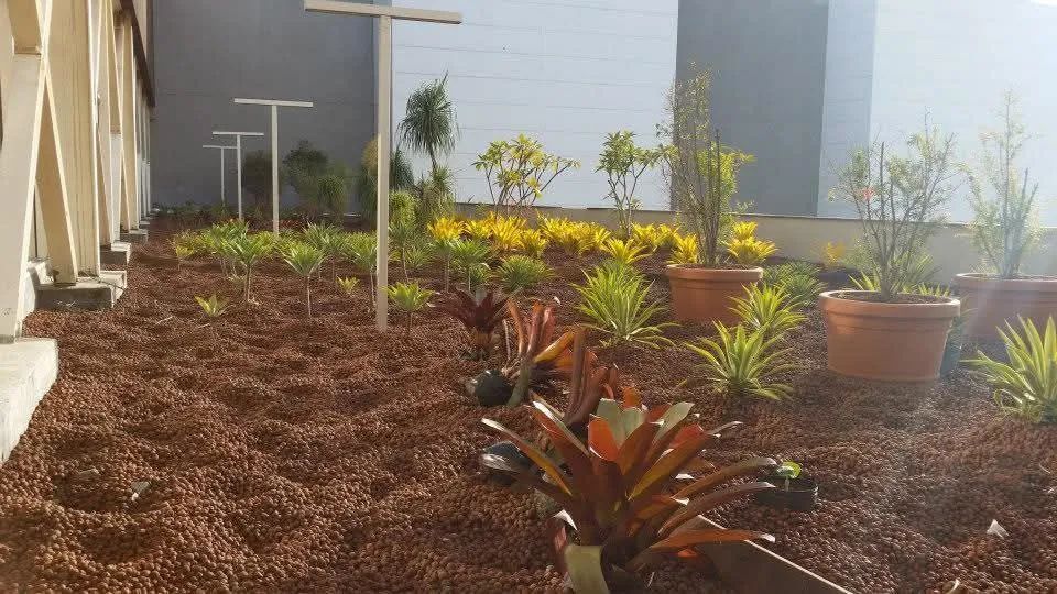Jardinagem paisagismo e gramados - Foto 5