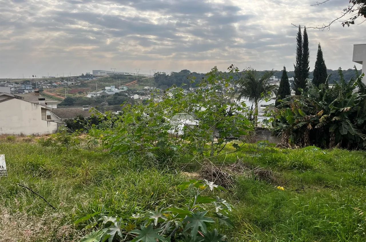 Vendas Terreno Pato Branco PR - Foto 2
