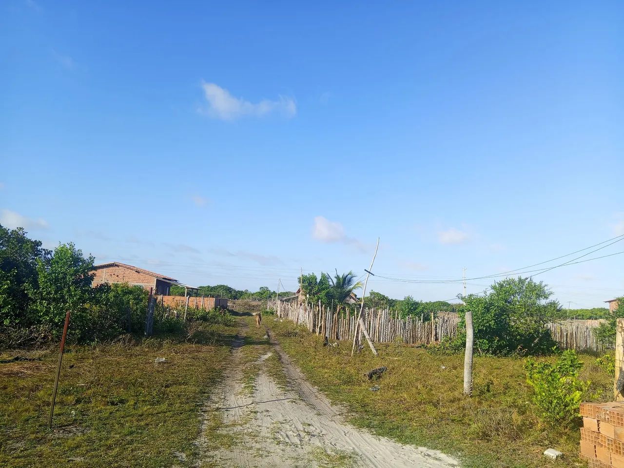 Casa - Foto 4