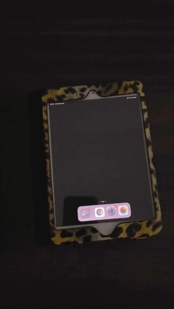 iPad Mini 2