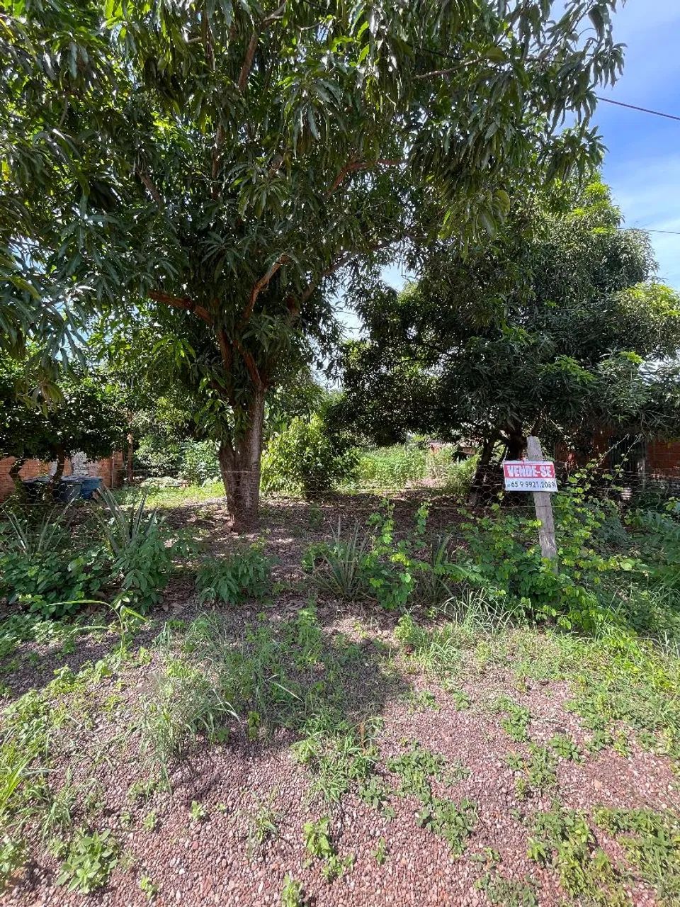 terreno nova esperança  - Foto 3