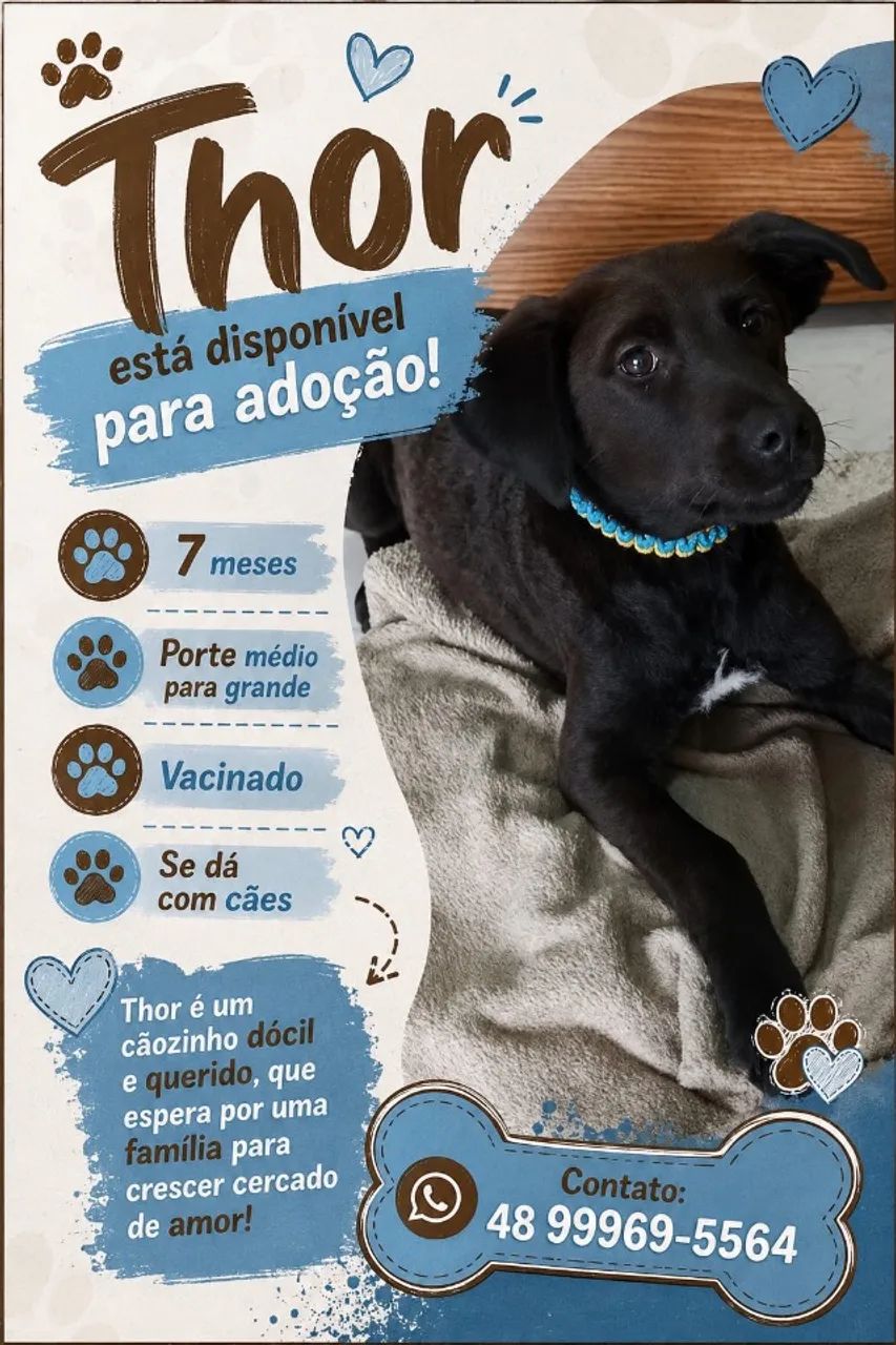 Doa-se o Thor (cachorro)