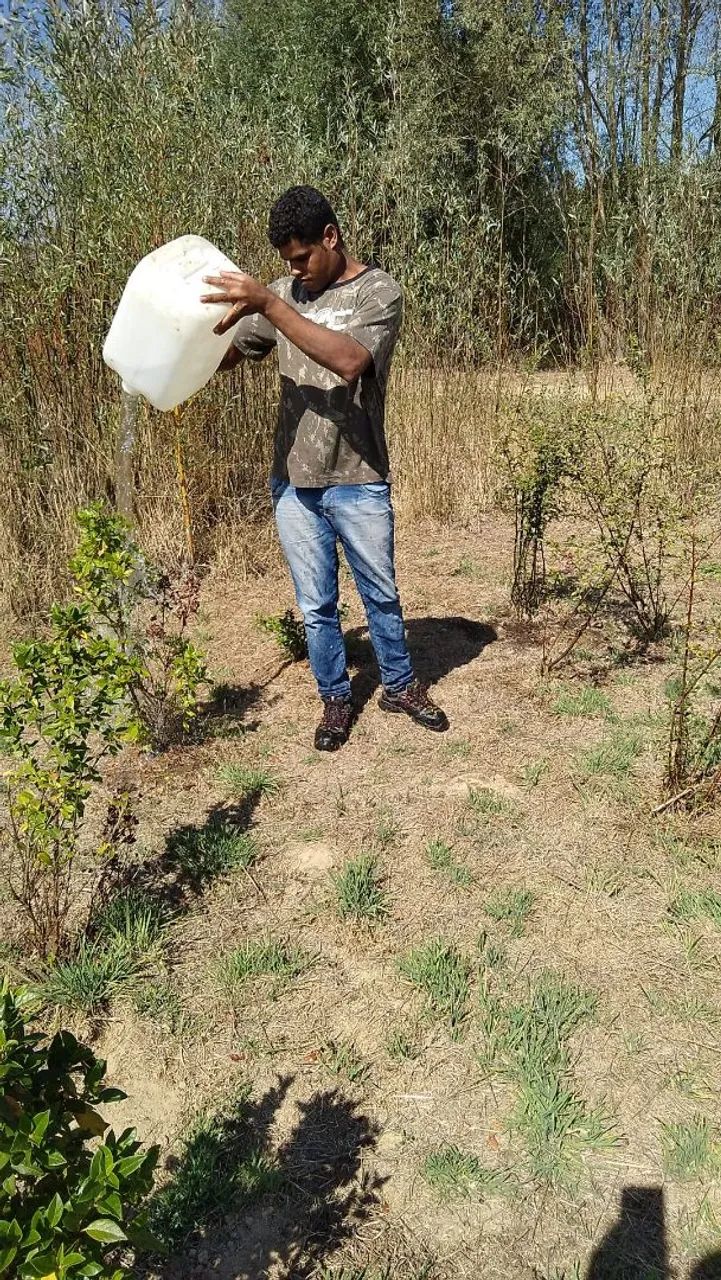 Serviços de limpeza de terrenos  - Foto 3