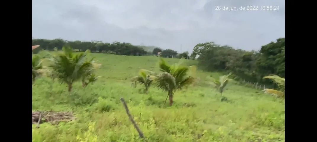Vendo sítio no cantinho do velho 2 - Foto 3