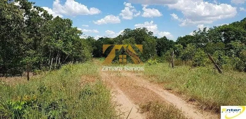 Fazenda - 681 hectares - São João da Aliança  Goiás - Foto 9