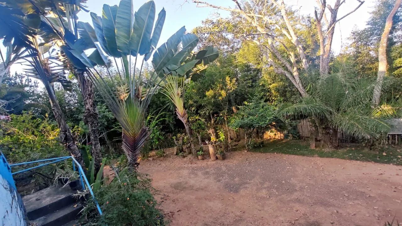 Seu Refúgio de Natureza e Sossego: Linda Granja com 4.862 m² - Foto 4