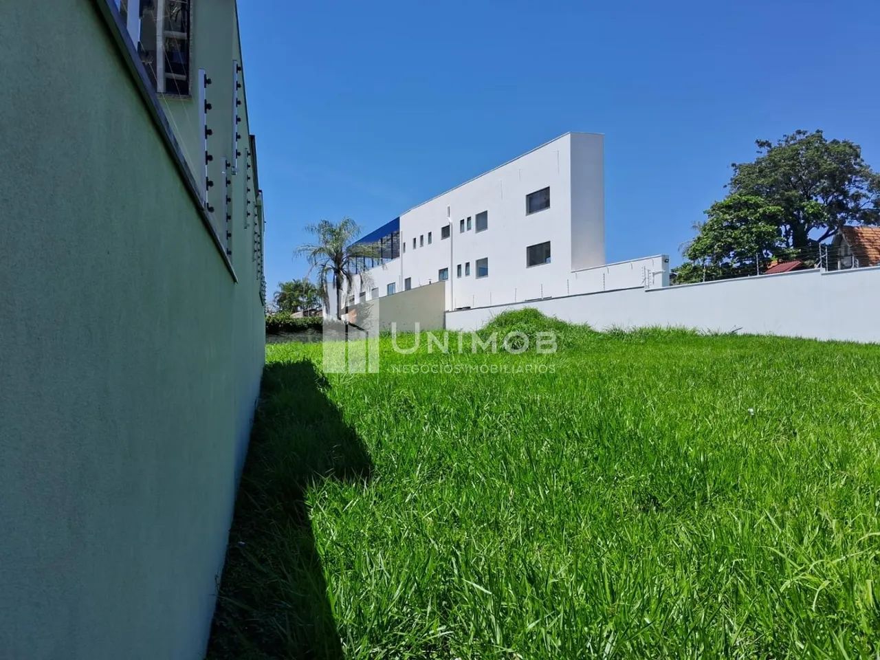 terreno - Nova Campinas - Campinas - Foto 2
