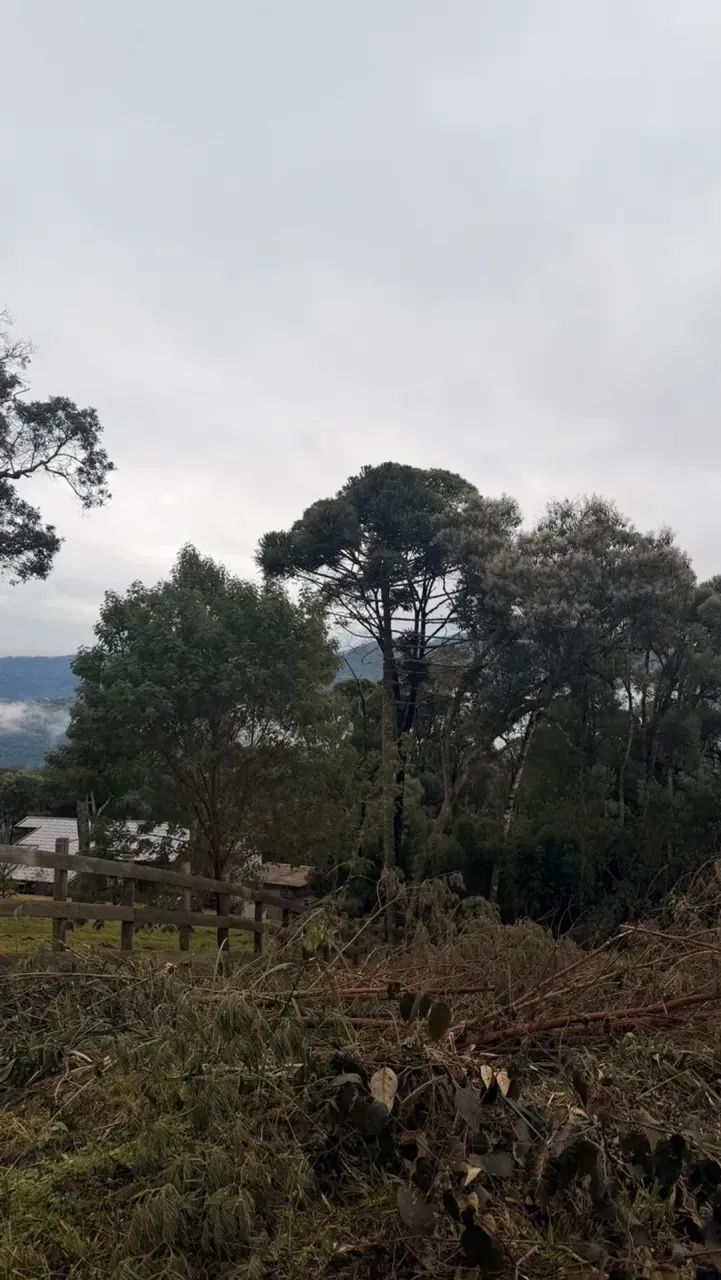 sítio a venda em Urubici