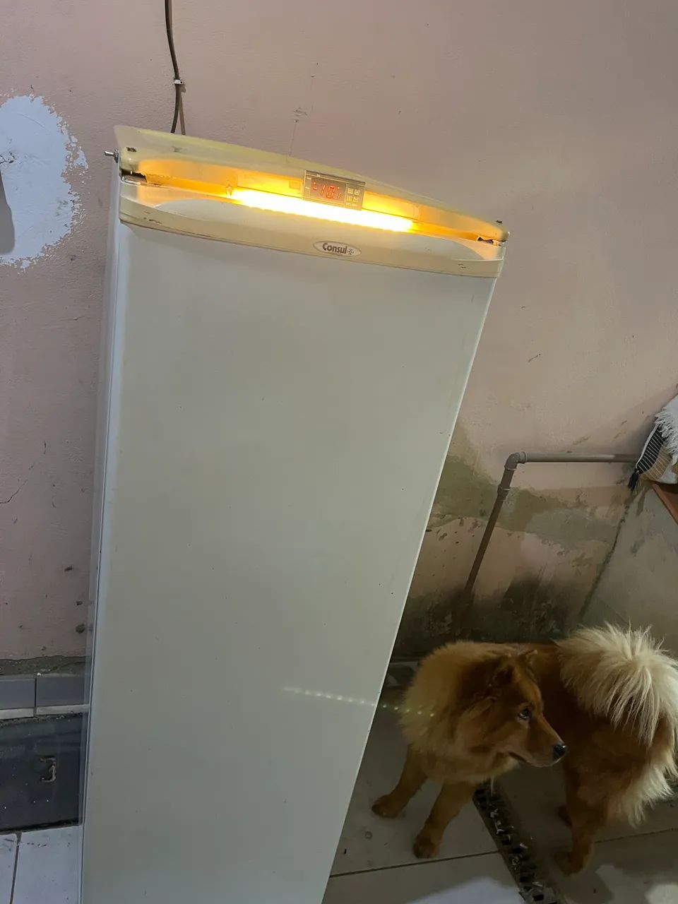 Freezer vertical  - Foto 3