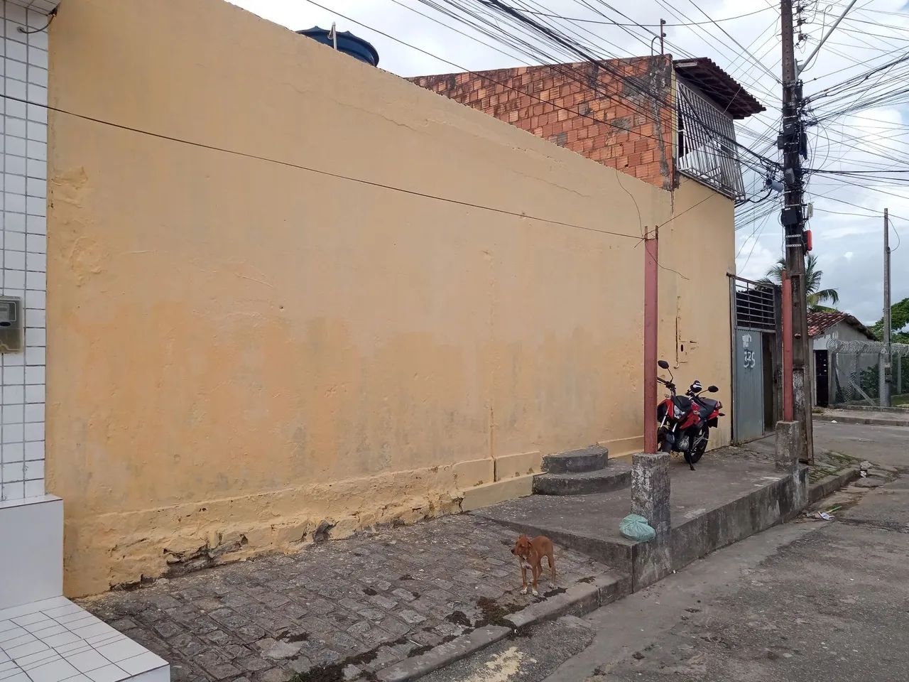 VENDER.