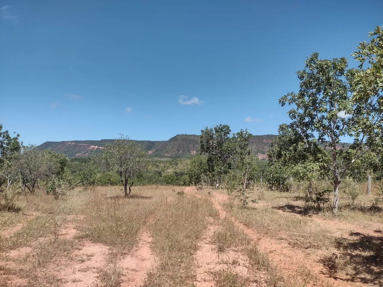 Vendo terreno com 5,7 hectares BARATO . - Foto 5
