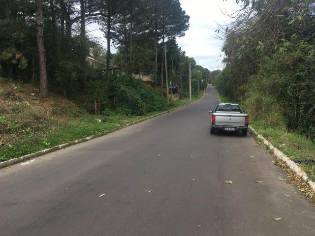 Terreno 700M2 Novo Hamburgo - Foto 3