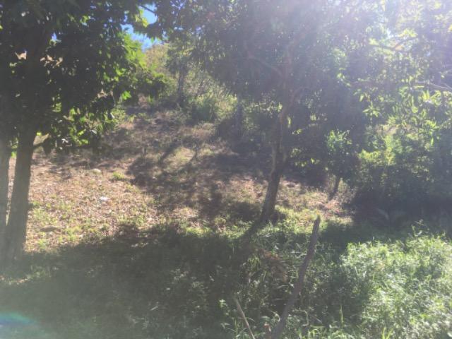 Terreno 18x12 Em Abreu e lima - Foto 4