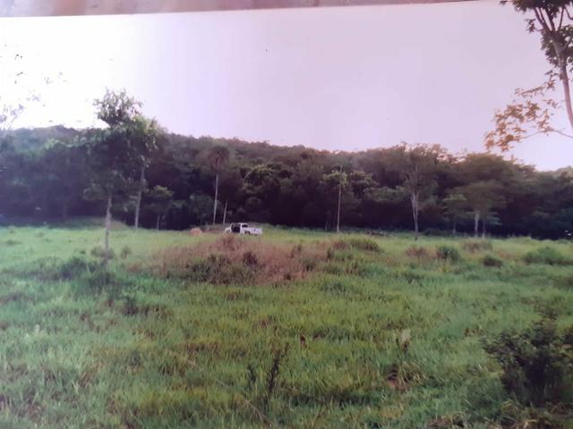 Vendo uma área de 116 há - Foto 5