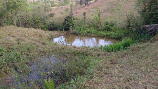 Chácara 18.000 m2 Formada Margens BR 414 Corumbá de Goiás - Foto 19