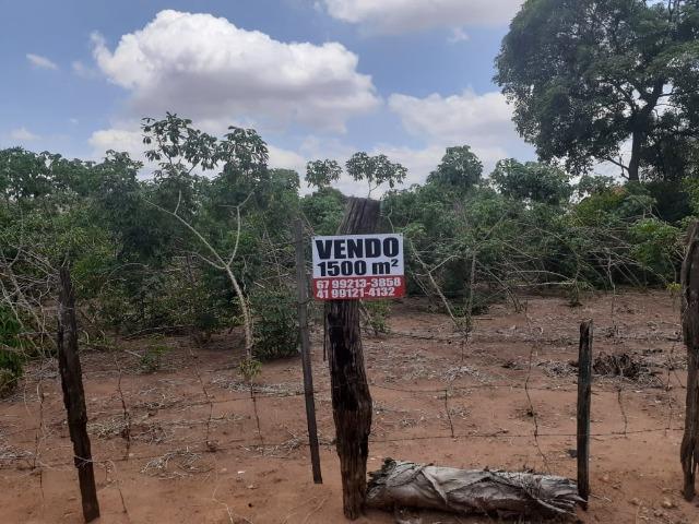 Vendo Terreno de esquina medindo 30 x 50 m em T. Lagoas.Ms - Foto 3