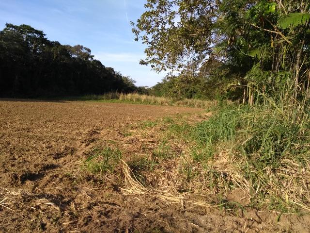 Terreno medindo 17 mil metros passando rio dentro e córrego - Foto 20
