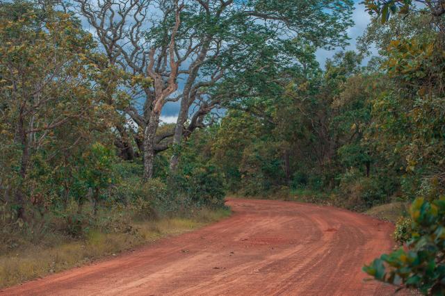 Fazenda para agricultura e pecuária - Foto 9