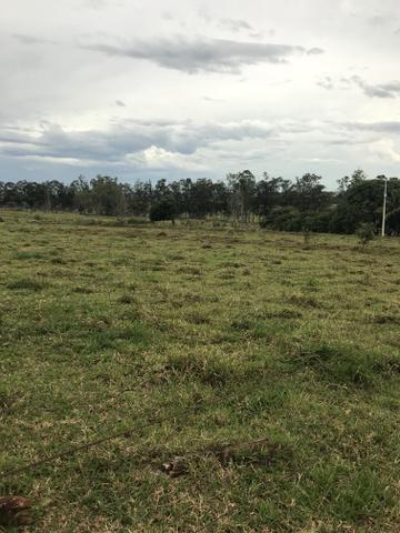 Chacrinha próximo ao jardim do Pimentel e Havan - Foto 5
