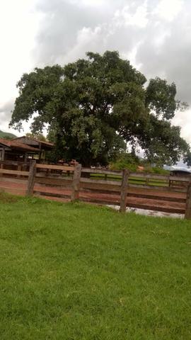 Fazenda - 1800 Hectares - Nossa Senhora do Livramento/MT - Foto 6