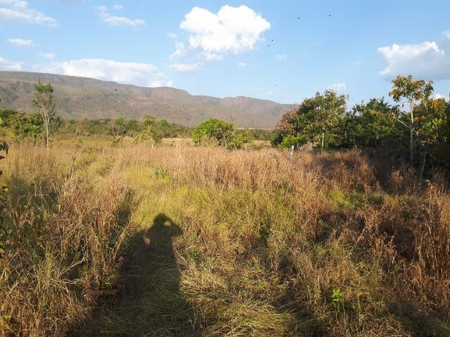 Chácara - Vão do Paranã - Formosa-GO - Foto 13