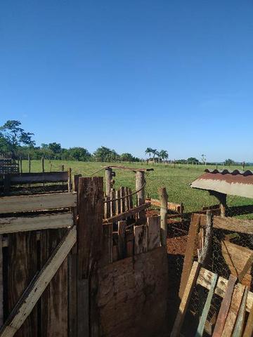 Chácara - Foto 5