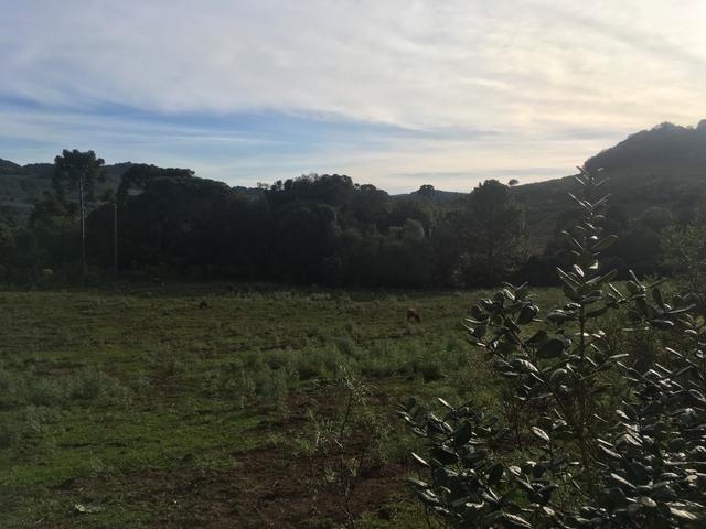 Terreno rural - Foto 8