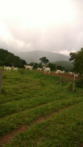 Fazenda - 1800 Hectares - Nossa Senhora do Livramento/MT - Foto 4
