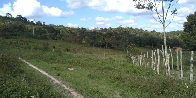 Sítio - Foto 16