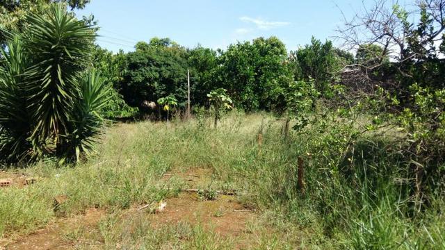 Lote em rua asfaltada na ponte alta norte - Foto 5