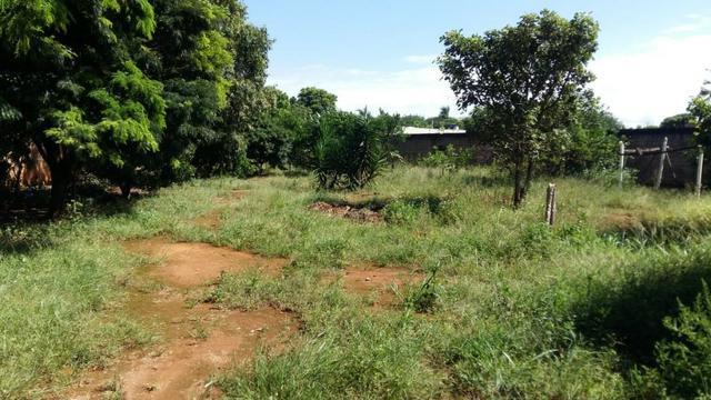 Lote em rua asfaltada na ponte alta norte - Foto 4