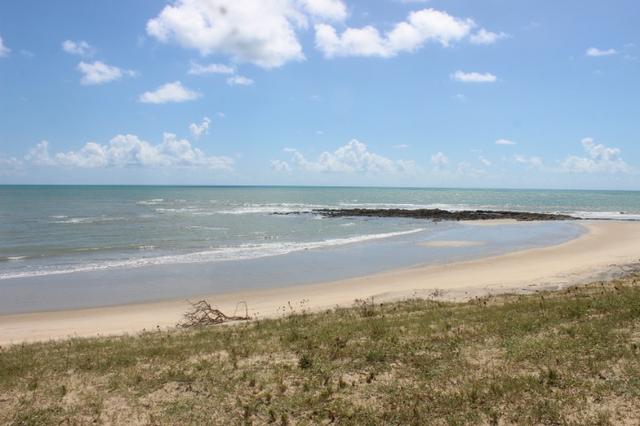 Excelente terreno beira mar na praia de Monte Alegre - TE0019 - Foto 11