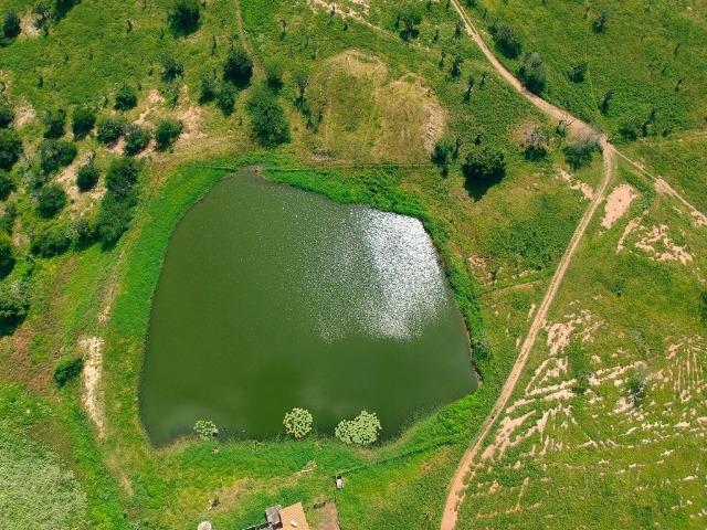 Belíssima Fazenda com casa boa e piscina na região rural de Riachão do Jacuípe Bahia - Foto 2