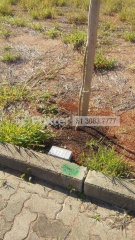 Terreno à venda em Campo novo, Porto alegre cod:190388 - Foto 12