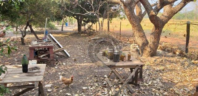 Chácara 1.4 ha em santo antônio do leverger - Foto 2