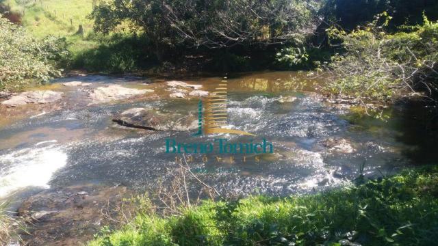Fazenda à venda, 5227200 m² por r$ 10.800.000 - itabela - itabela/ba - Foto 4