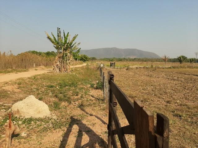 Chácara com 5 hectares na Agrovila das Palmeiras - Foto 5