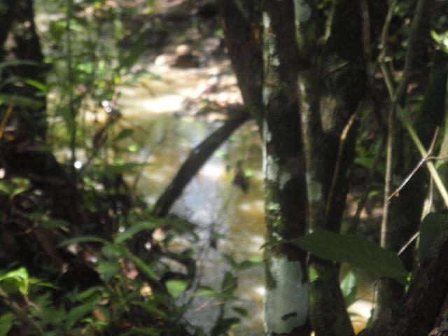 Sítio Chapada dos Guimarães 22 hectares - Foto 2
