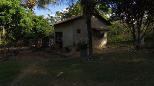 Chácara completa com 2 casas, piscina, pomar e ribeirão grande no fundo - Foto 10