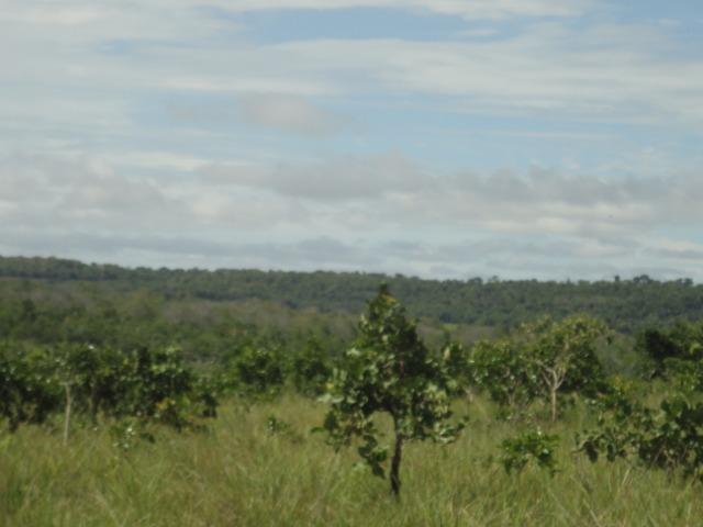 Sítio Chapada dos Guimarães 22 hectares - Foto 3