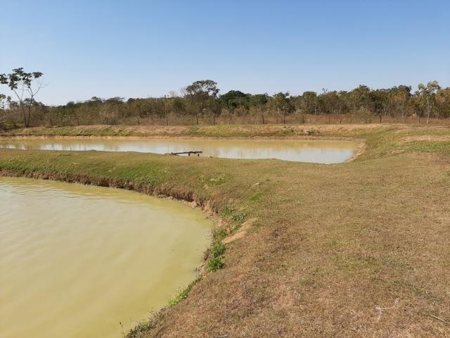 Chácara com 5 hectares no Rio Bandeira,com acesso de barco ao Rio Cuiabá - Foto 11